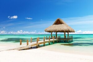 Marine Life in Punta Cana Diving | Explore Rich Biodiversity
