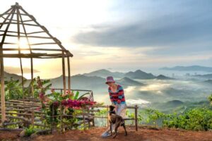 The Best Pet-Friendly Vacation Destinations in the USA