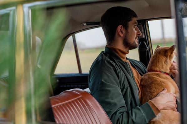 road trip with a dog